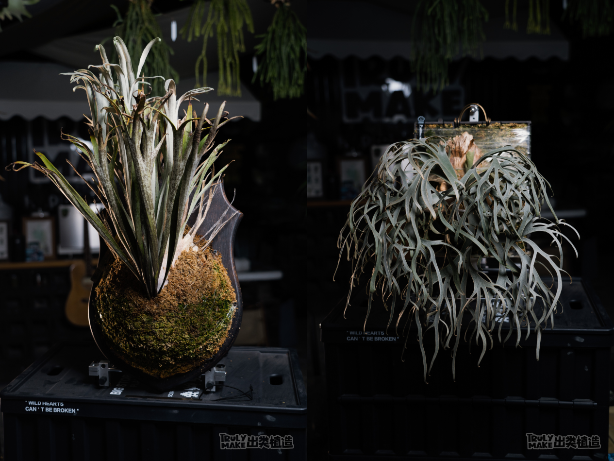 1773887188534212.png 圖片2.png